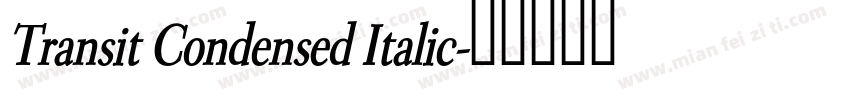 Transit Condensed Italic字体转换
